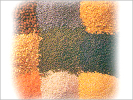 Pulses