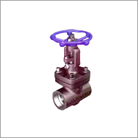 Forged Steel Gate Globe Check Valve