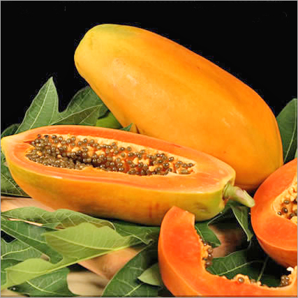 Papaya