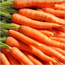 Carrot