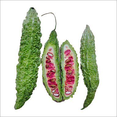 Bitter Gourd
