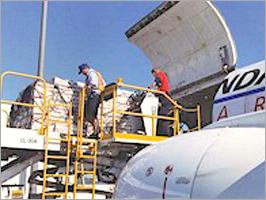 Cargo