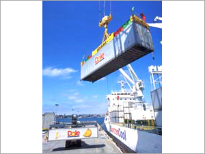 Mob Crane