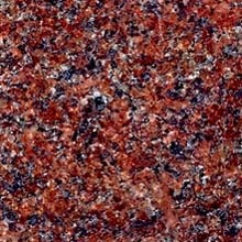 Adoni Chocolee ( SE151)