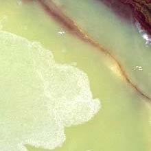 Green Onyx ( SE901)