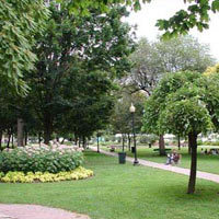 Landscape Garden Design & Development