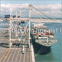 Dock Service