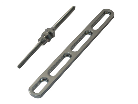 Steffee Plate & Screw