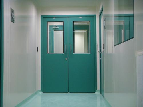 Green Flush Doors