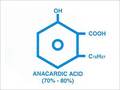 Anacardic Acid