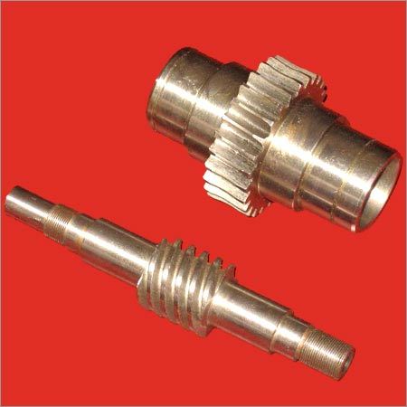 Worm Gear & Worm Shaft
