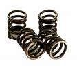 Clutch Springs
