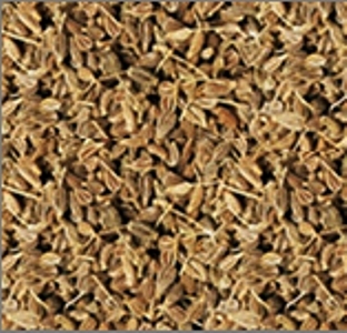 ANI SEED