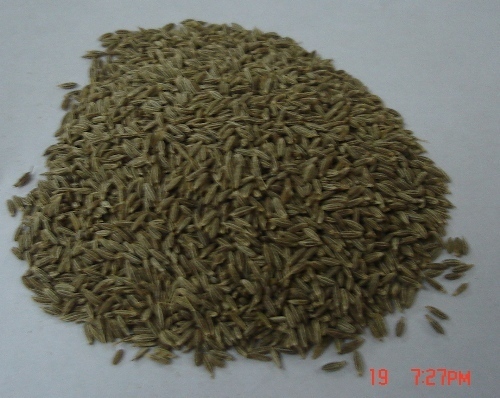 Cummin Seed