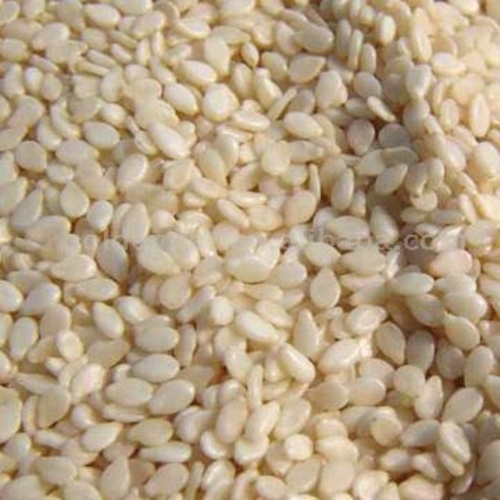 Sesame Seed