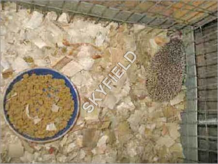 Pet Litter Minerals
