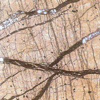 Bidaser Gold Granite