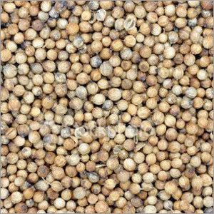 Coriander Seeds