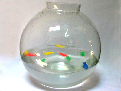 Fish Bowl