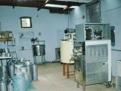 Mini Ice Cream Plant