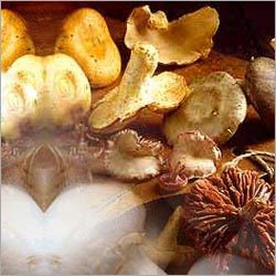 Mushrooms