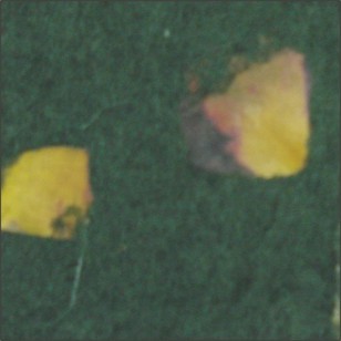HANDMADE PAPER-FLOWER PETALS