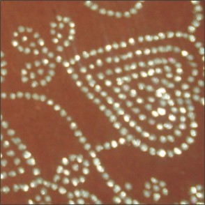 HANDMADE PAPER - GLITER PRINTED