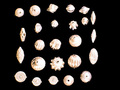 Sterling Silver Beads - Polished Finish, Varied Sizes & Shapes | Elegant Design, Eye-catching Look, Fine Polish, Lightweight, Versatile Use