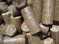 Biomass Briquettes