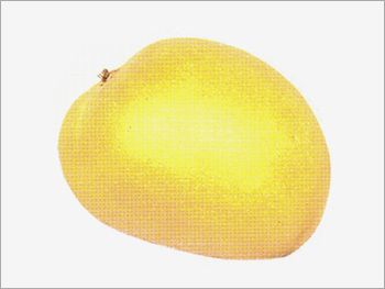 Natural Mango Pulp & Concentrate
