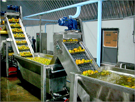 Fruit Washer