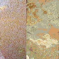 CK-Clyde Metal Leather Finishing Transfer Foils