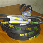 Poly V Belt
