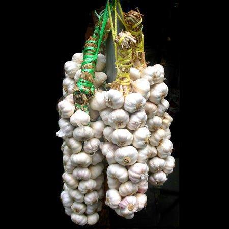 Fresh Dried Garlic
