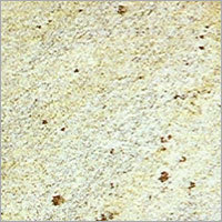 Kashmir white