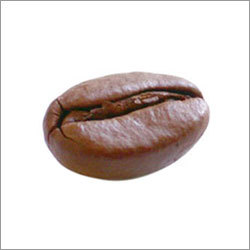 Coffee Bean Single