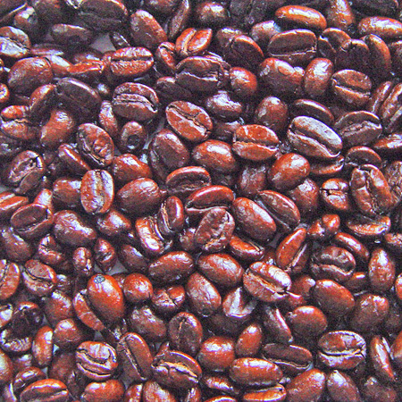 Roasters Choice