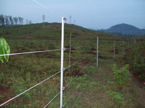 Farm Fence