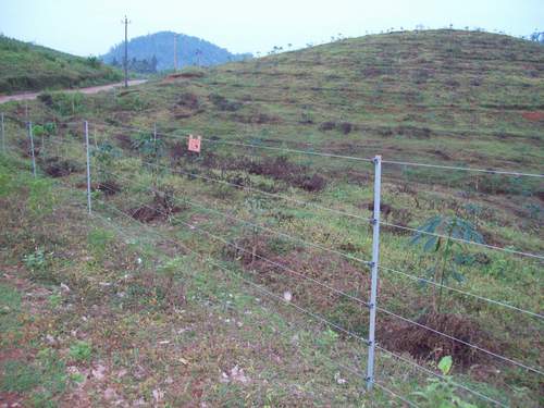 Forestry Fencing