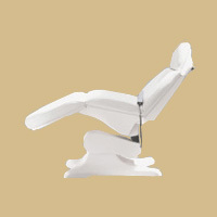 Memory Motorized Facial Bed