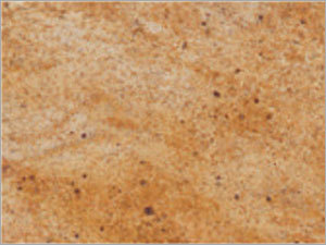 Kashmiri Gold Granite