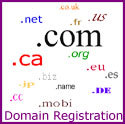Domain Registration