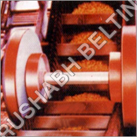 Cleated Belt