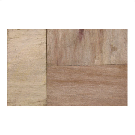 Fossil Sandstone