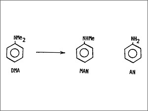 Dimethylaniline