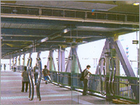 Strip Air Curtain