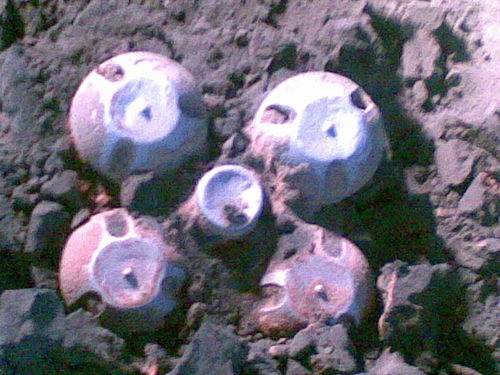 AS Cast Castings
