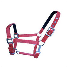 Synthetic Halters