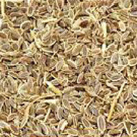 Dill Seeds (Antheum Graveolens)