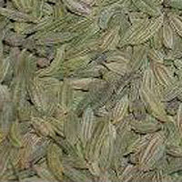 Fennel Seeds (Foeniculum Vulgare)